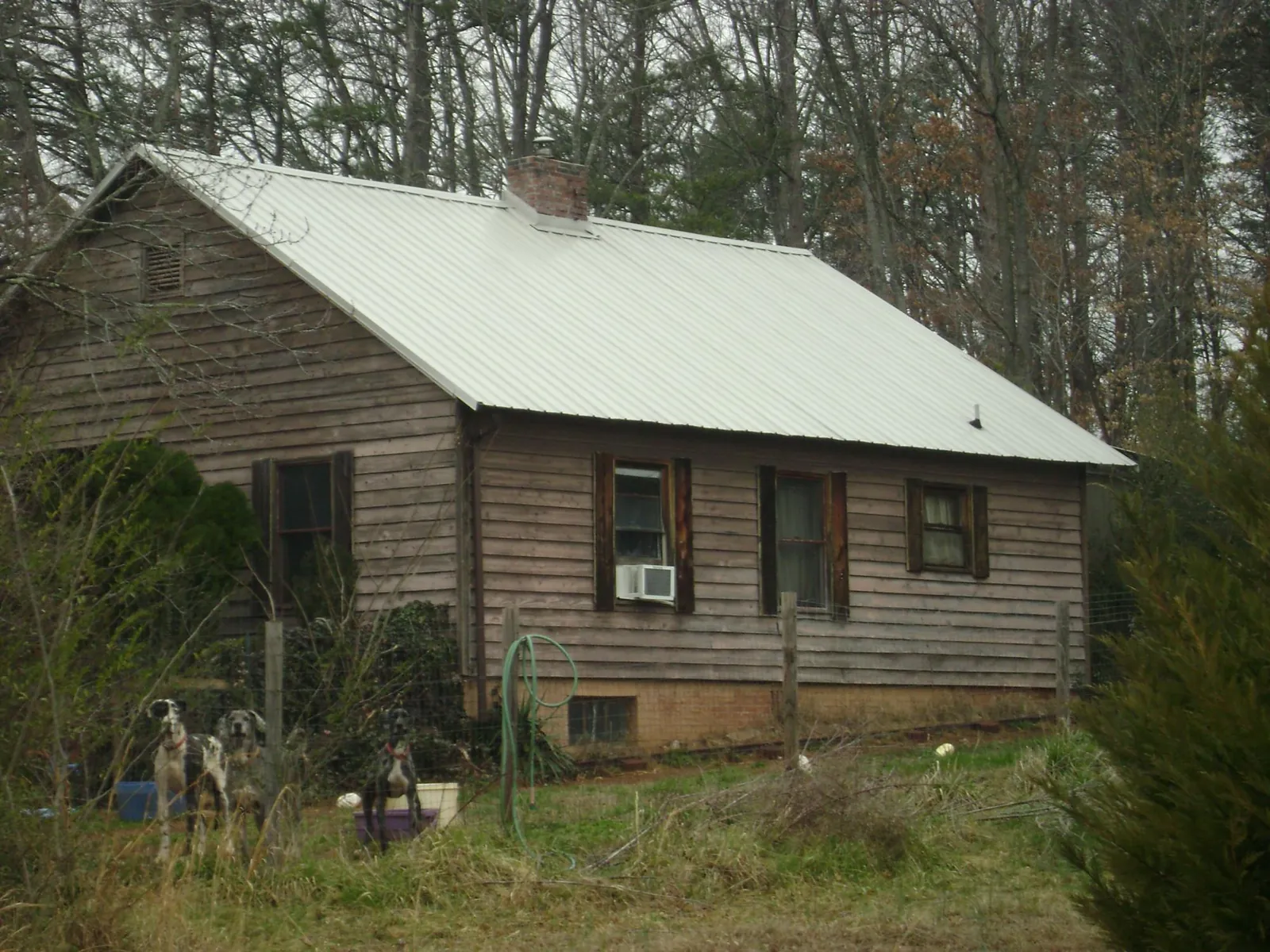 White metal roof on an old wood sided farmhouse, from a Asphalt Shingle Roof Repair job in Hammond